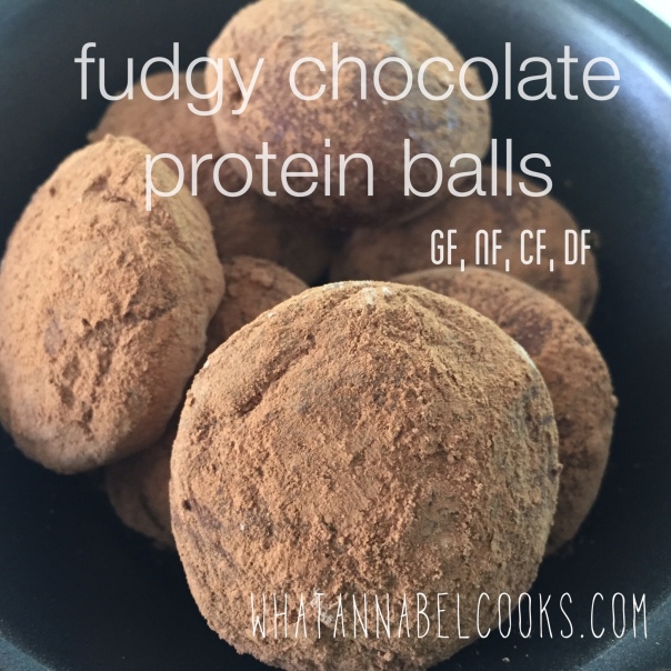 fudgy chocolate protein balls